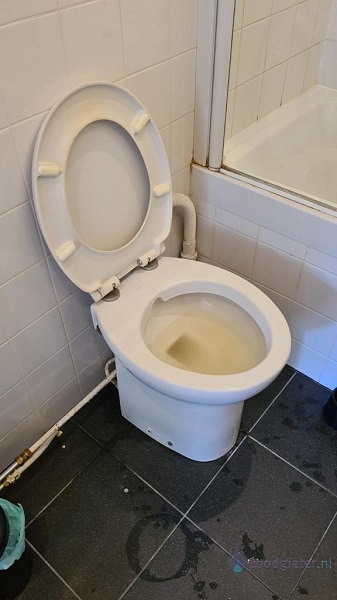  verstopping toilet Zaltbommel